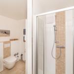 Dusche mit Duschbrause und Toilette im Badezimmer