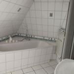 Badezimmer mit Badewanne, Duschkopf und Heizkörper
