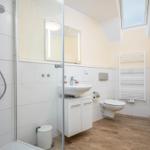 Badezimmer mit Dusche und WC