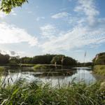 Ein ruhiger See mit Ufervegetation und Bäumen unter einem blauen Himmel mit Wolken.