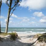 Sandpfad führt durch Dünen zu Strand und Meer unter blauem Himmel mit weißen Wolken.
