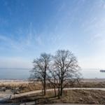 Strandufer mit Bäumen, Steg und klarem Himmel.