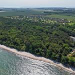 Aerial view of a coastal area with forest, beach, and residential houses.