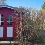 Roter Gartenhaus mit Fenster und Pflanzen im Hintergrund.