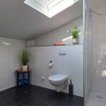 Badezimmer mit Dusche, Toilette und Waschbecken. Dachfenster, Pflanzen und dunkler Boden.