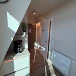 Eingangsbereich mit Kaffeemaschine, Pflanze und Heizung.