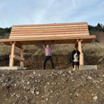 Eine Person und ein Bernhardiner stehen unter einem Holzüberdachung im Freien.