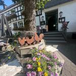 Haus mit Balkon, Blumen und Holztisch im Vorgarten