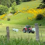 Roter Traktor zieht Heuballen durch grünes Feld mit gelben Blumen.