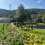 Ein Spielplatz mit Schaukel und Rutsche im Garten. Kinder spielen im Freien.