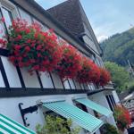Fassade mit roten Blumen und grün-weißen Markisen