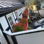 Fassade mit Blumenkästen und Terrasse mit Tischen. Hintergrund: Wald und weitere Häuser.