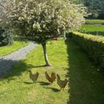 Drei Hühnerfiguren stehen auf einer grünen Wiese neben einem Baum.