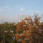 Hochhaus mit Hotel-Schriftzug hinter Herbstbäumen