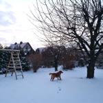 Der Garten im Winter