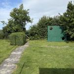 Grüner Gartenweg mit Rasenfläche und grüner Wand mit Rundöffnungen.