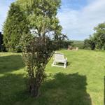 Garten mit Stuhl, Bäumen und Grasfläche unter blauem Himmel.