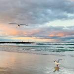 Zwei Möwen fliegen über einen Strand bei Sonnenuntergang mit bewölktem Himmel und Wellen.