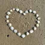 Herz aus Muscheln auf dem Sand am Strand