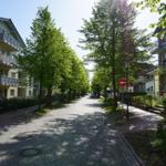 Gehweg mit Bäumen und Wohnhäusern in einer ruhigen Straße.