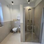 Badezimmer mit Dusche, Toilette und Fenster