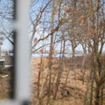 Through trees, a lake and a modern villa are visible.