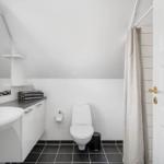Badezimmer mit Waschbecken, Toilette und Duschvorhang.