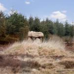 Steinkreis in einer grasbewachsenen Landschaft mit Wald im Hintergrund.