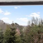 View from the window over a forest with coniferous trees and a house in the background.