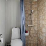 Bathroom with toilet, shower, and window