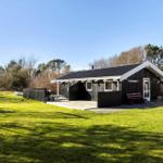 Black wooden house with terrace, garden, and swing. Flag and trees in background.