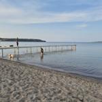 Beach with pier, people, and dogs by the water.