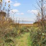 Path through woods leads to lake. Trees and grass line the trail.