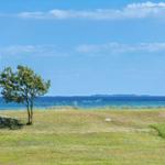 Einzelbaum auf grasigem Hang mit Blick auf das Meer und eine Bootsfahrt.