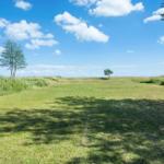 Grünes Feld mit Bäumen und hohem Gras unter blauem Himmel mit weißen Wolken.