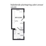 Basement with laundry, bathroom, and WC. Dimensions are indicated.