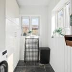 Laundry room with washing machine, windows, and plants