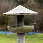 Ein kleiner Vogel sitzt auf einem Steinbrunnen im Garten.