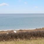 Meerfront mit Strand und trockener Vegetation im Vordergrund.