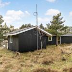 Schwarze Holzhütte mit Antenne und kleinen Nebengebäude in Waldnähe.