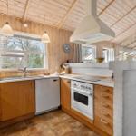 Kitchen with wooden walls, white appliances, and stone island