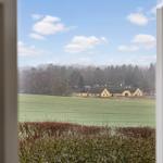 From the window, you see a green field and yellow farmhouses.