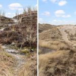 Dünenlandschaft mit sandigem Pfad und moderner Hütte
