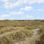Dünenlandschaft mit Gräsern und einem Pfad unter blauem Himmel mit Wolken.