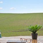 Holztisch mit Brille, Pflanze und Zeitschrift vor grünem Feld.