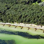 Aerial view of a forested coastline with clear water and stone breakwaters.