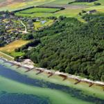 Aerial view of coastal area with forest, fields, and houses near water.