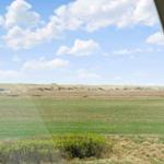 Weitläufiges Grünland mit Dünen im Hintergrund unter blauem Himmel mit weißen Wolken.