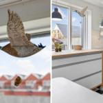 Küche mit Holzoberfläche und schwarz-weißem Fliesenboden. Hängendes Enten-Dekor vor Fenster.