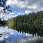 See mit Waldspiegelung unter blauem Himmel
